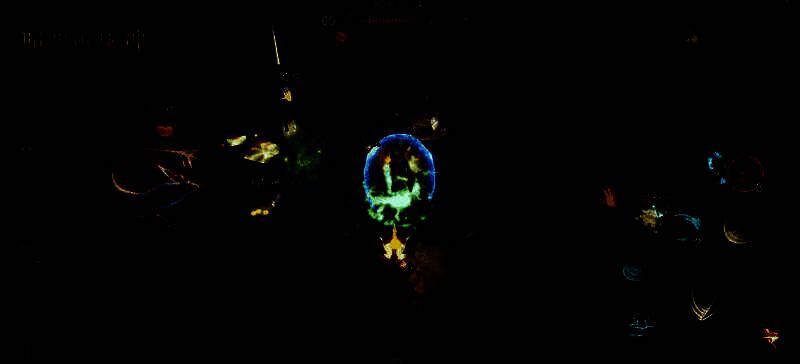 《暗黑破坏神：不朽》游戏画面相关图片4