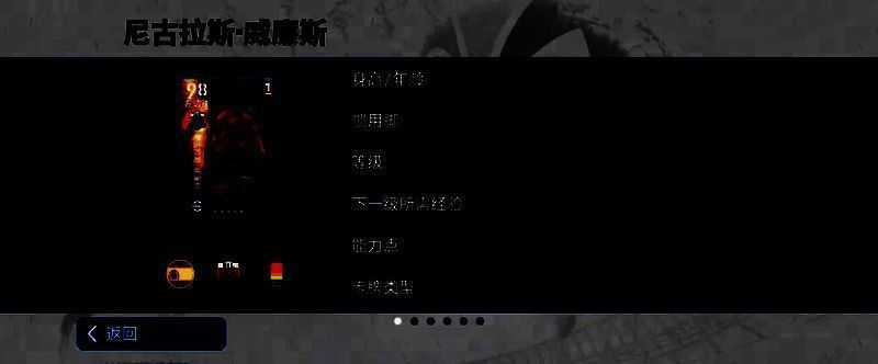 威廉斯比赛图片 1