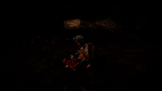 暖暖与动物互动画面