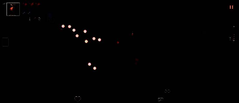 枪的历史相关图片