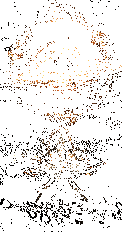 土系修炼室展示图