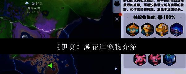 《伊莫》潮花岸区域地图，显示宠物分布点