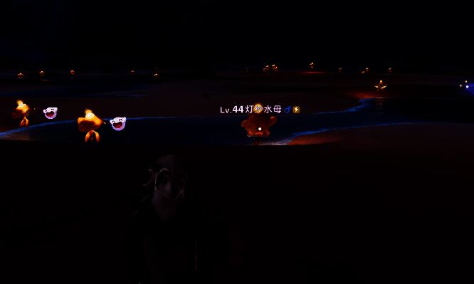 雨天形态下，吊灯水母在潮花岸水域中浮现