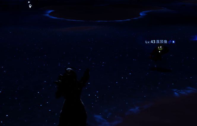 潮花岸沙滩上，灯泡水母与灯纱水母成群漂浮