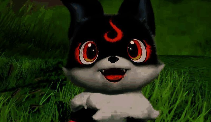 小炭犬在野外奔跑的画面，毛茸茸的外表充满活力