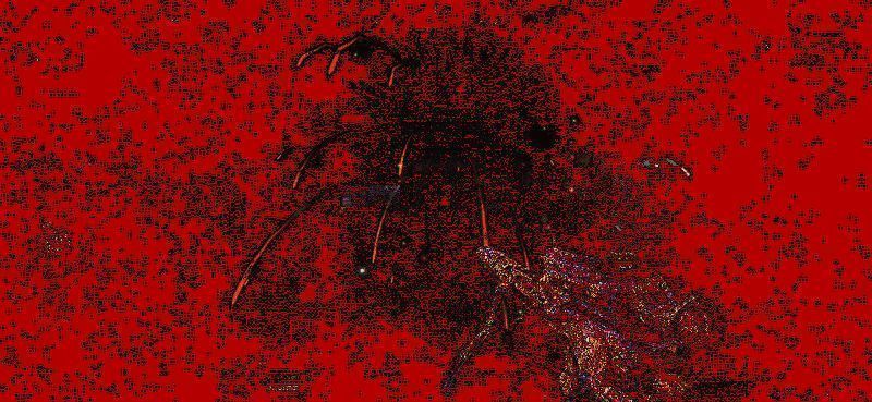 烟花手雷爆炸动图，空中绽放彩色烟花