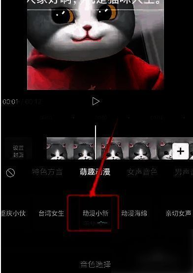 最终视频预览画面，文字已转化为语音波形，配音流畅自然