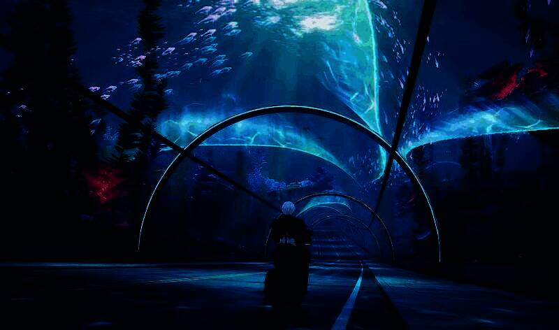 隧道内阳光穿透水面形成光束，上方有成群发光水母缓缓游动