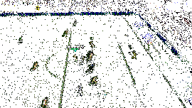 卡恩在比赛中飞身扑救，动作迅猛，展现顶级反应速度