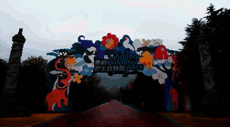 花果山场景中一只可爱的小灵猴正蹲在少侠肩头，周围桃花纷飞，瀑布背景壮丽