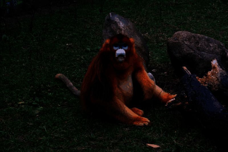 一只活泼的金丝猴正攀爬在粗壮的树枝上，眼神灵动，充满好奇地望向镜头