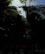 《恐龙世界》游戏库