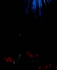 《伍尔夫：小红帽日记》免安装中文版