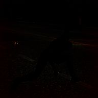 城市复仇英雄 V2.0.0