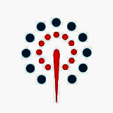 周末去哪儿 V6.0.2