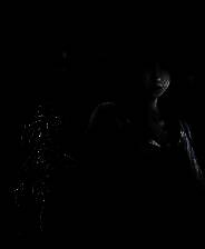 《零 ～濡鸦之巫女～》官方版