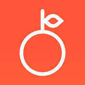 柚子练琴 V1.10.3