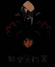 《探案法：加拿大档案》游戏库