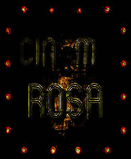 《罗莎电影院》英文免安装版