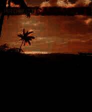 《Project Castaway抢先体验版》免安装版