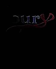 《bury》日文免安装版