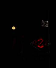 《最强僵尸杀手》英文镜像版