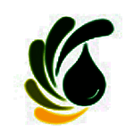 浩视达数据恢复软件v7.0.8