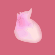 生命LIFE 官网版 V1.0