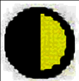 慧石围棋电脑版