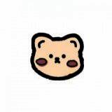 浣熊ios15启动器 2025最新版 V1.3